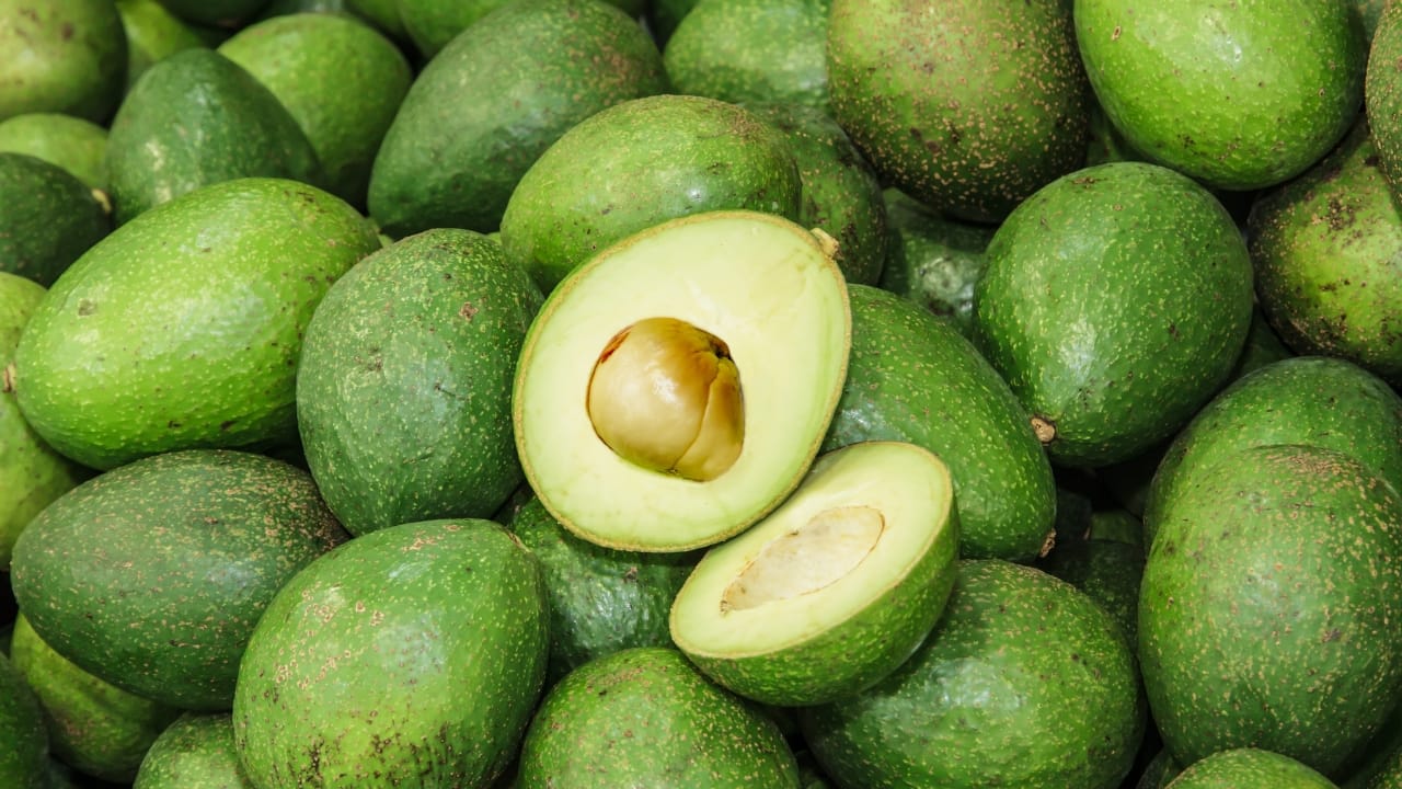 Avocado: Known for its rich content of healthy fats, vitamins E and C, and antioxidants like lutein and zeaxanthin, avocados are a powerhouse for skin health. They nourish and hydrate the skin from within, promoting elasticity and a youthful appearance. The omega-9 fatty acids in avocados help maintain moisture in the epidermal layer of the skin, enhancing its softness and reducing the appearance of fine lines. (Image: Canva)