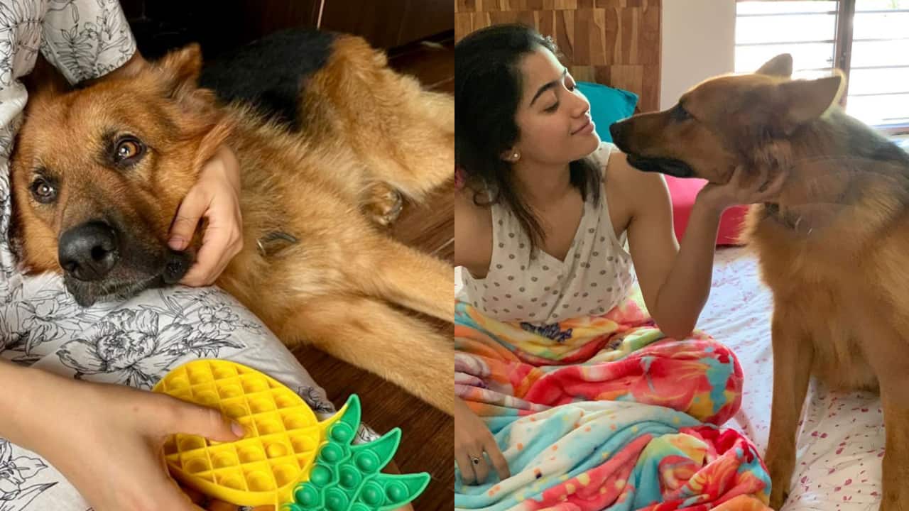 Rashmika Mandanna mourns the demise of her pet dog Maxi