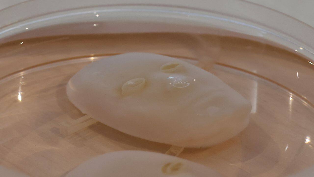 Researchers at the University of Tokyo grew human skin cells in the shape of a face and pulled it into a wide grin, using embedded ligament-like attachments.