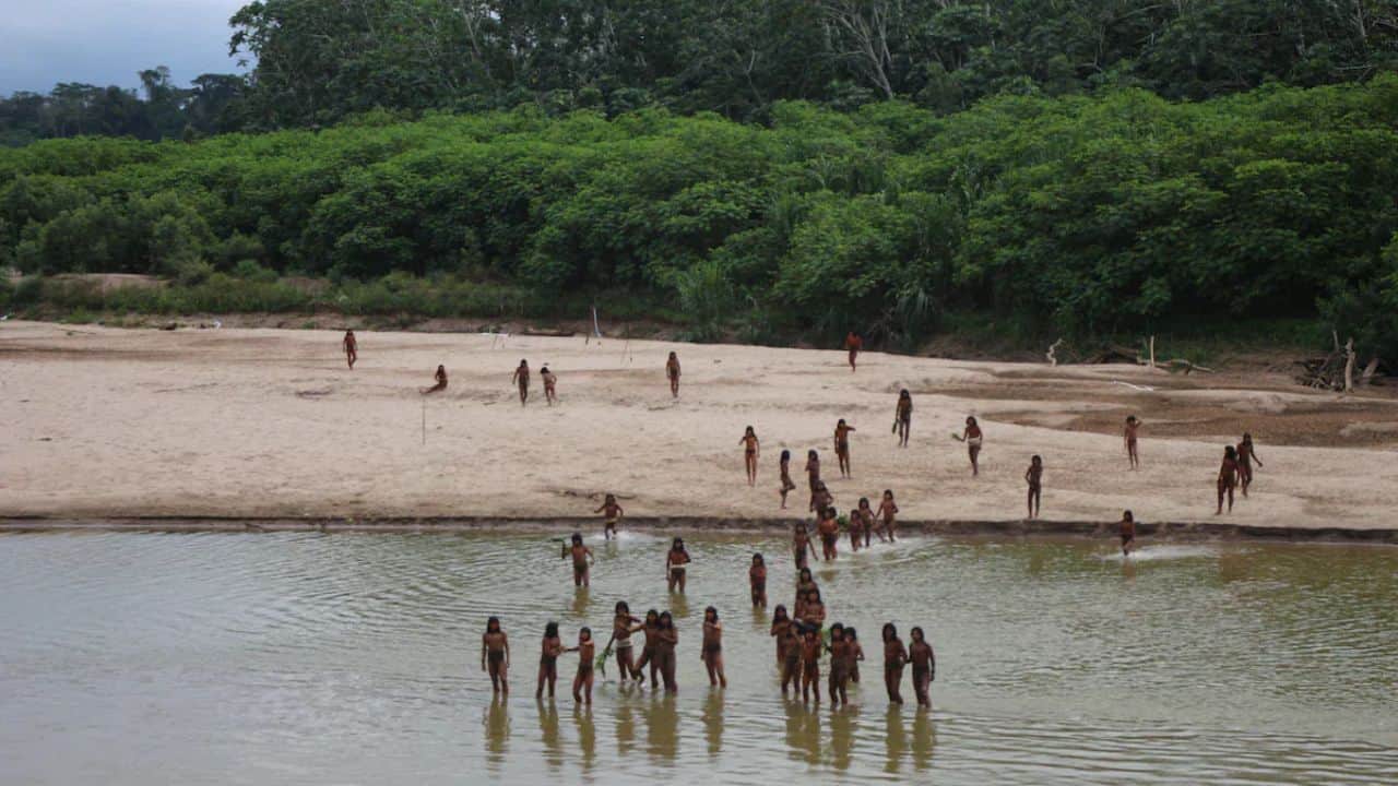 Photos Emerges Of Amazon's Largest Isolated Tribe: Learn about this community untouched by modern civilization