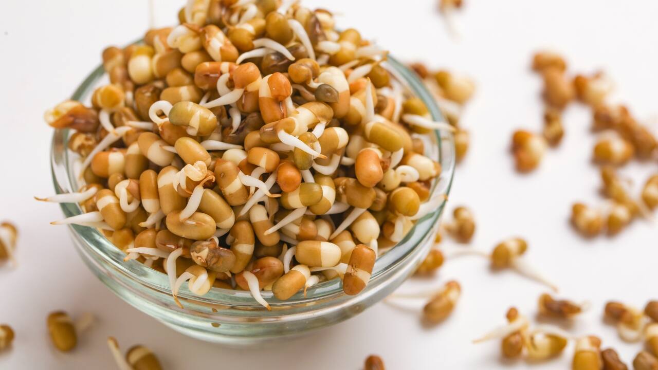 Improved Digestion: Their high enzyme content makes sprouts easier to digest, soothing the digestive system and promoting better nutrient absorption. (Image: Canva)