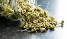 7 good reasons to start eating sprouts every morning