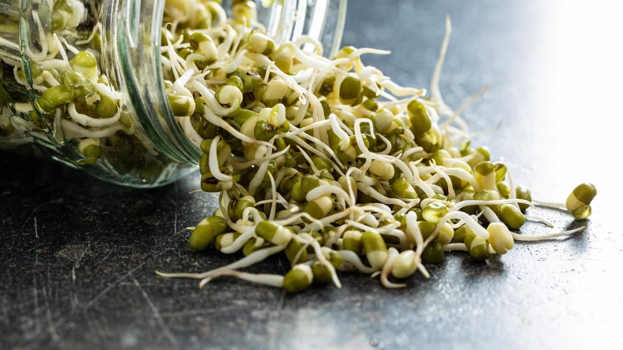 7 good reasons to start eating sprouts every morning