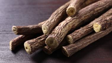 Yashtimadhu (Licorice root): Known for its anti-inflammatory and soothing properties, licorice root can help reduce redness and irritation in the eyes caused by UV exposure. (Image: Canva)