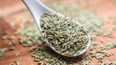 Fennel (Saunf/Madhurika): Fennel seeds have cooling properties that can help soothe the eyes. Consuming fennel tea or using fennel water as an eyewash can be beneficial. (Image: Canva)