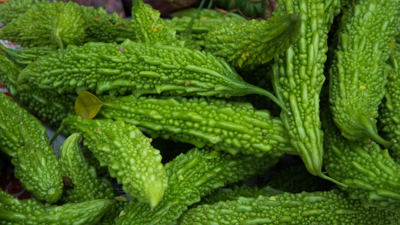 Bitter gourd seeds benefits hotsell