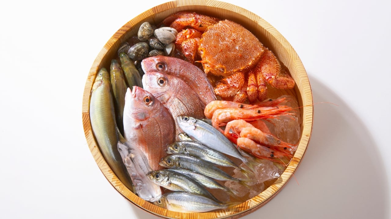 fatty fish fatty fish