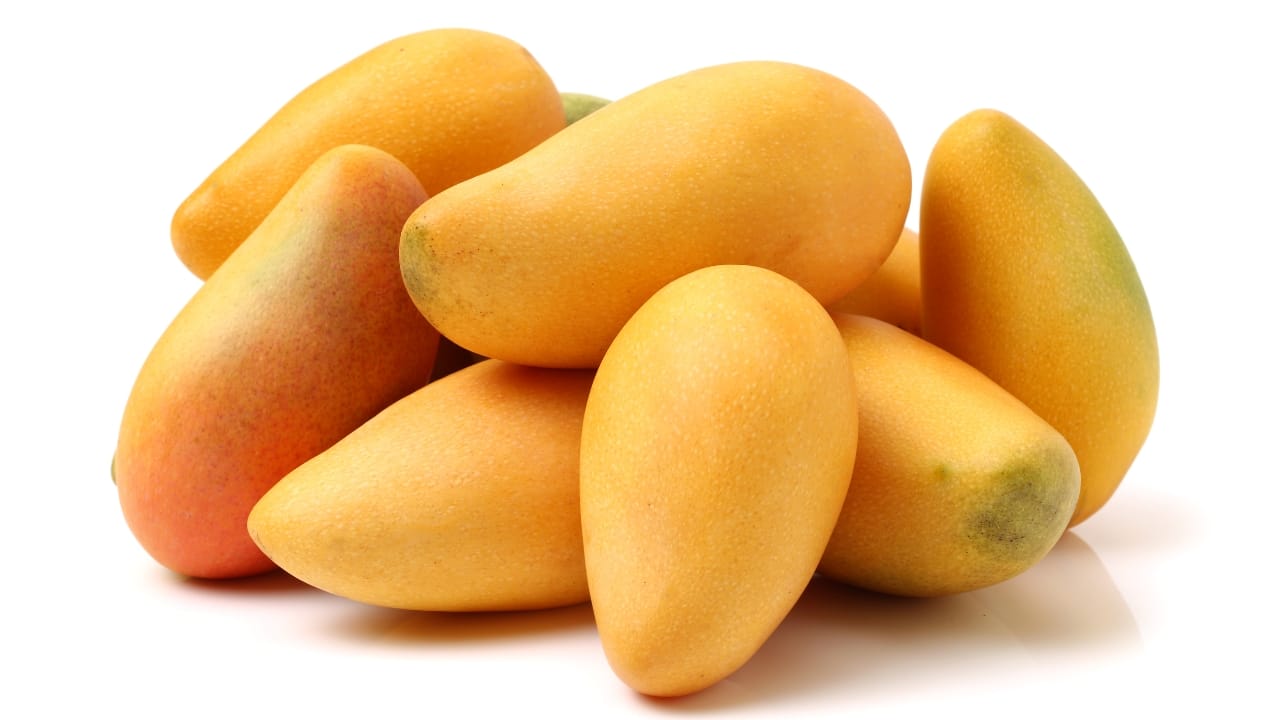 Mangoes are a powerhouse of nutrients, offering significant health and skin benefits. Rich in antioxidants like vitamin C and beta-carotene, they protect against oxidative stress and UV damage. Vitamin C aids in collagen production, keeping skin firm and elastic, while beta-carotene enhances natural sun defense. The high water content ensures skin hydration, making it more resilient to environmental stressors. Polyphenols, such as mangiferin, reduce inflammation and UV-induced damage. Additionally, the vitamins and nutrients in mangoes support skin repair, healing sun-damaged skin, and reducing sunspots. Consuming mangoes regularly promotes a radiant, healthy complexion and overall well-being. Noida- based Dermatologist Rohini Khurrana elaborates how mangoes can help in radiant skin (Image: Canva)