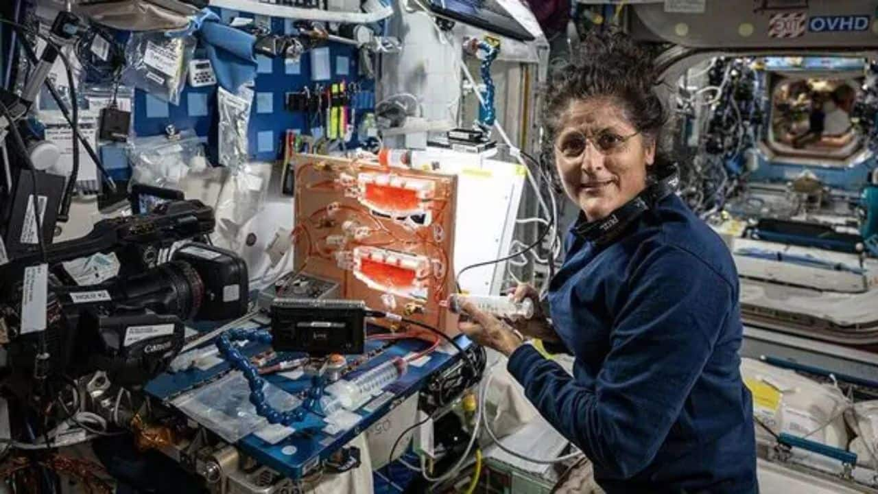 Sunita Williams Stuck In Space: NASA Astronaut's Mother, Husband Speak ...