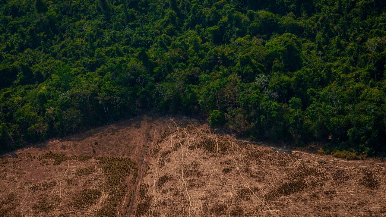 Brazilian cattle rancher ordered to pay $50m compensation for illegally deforesting areas of the Amazon Brazilian cattle rancher ordered to pay $50m compensation for illegally deforesting areas of the Amazon