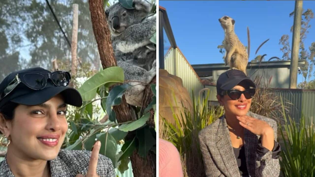Priyanka Chopra is surprised to know that Koala is named after her, watch this cute video
