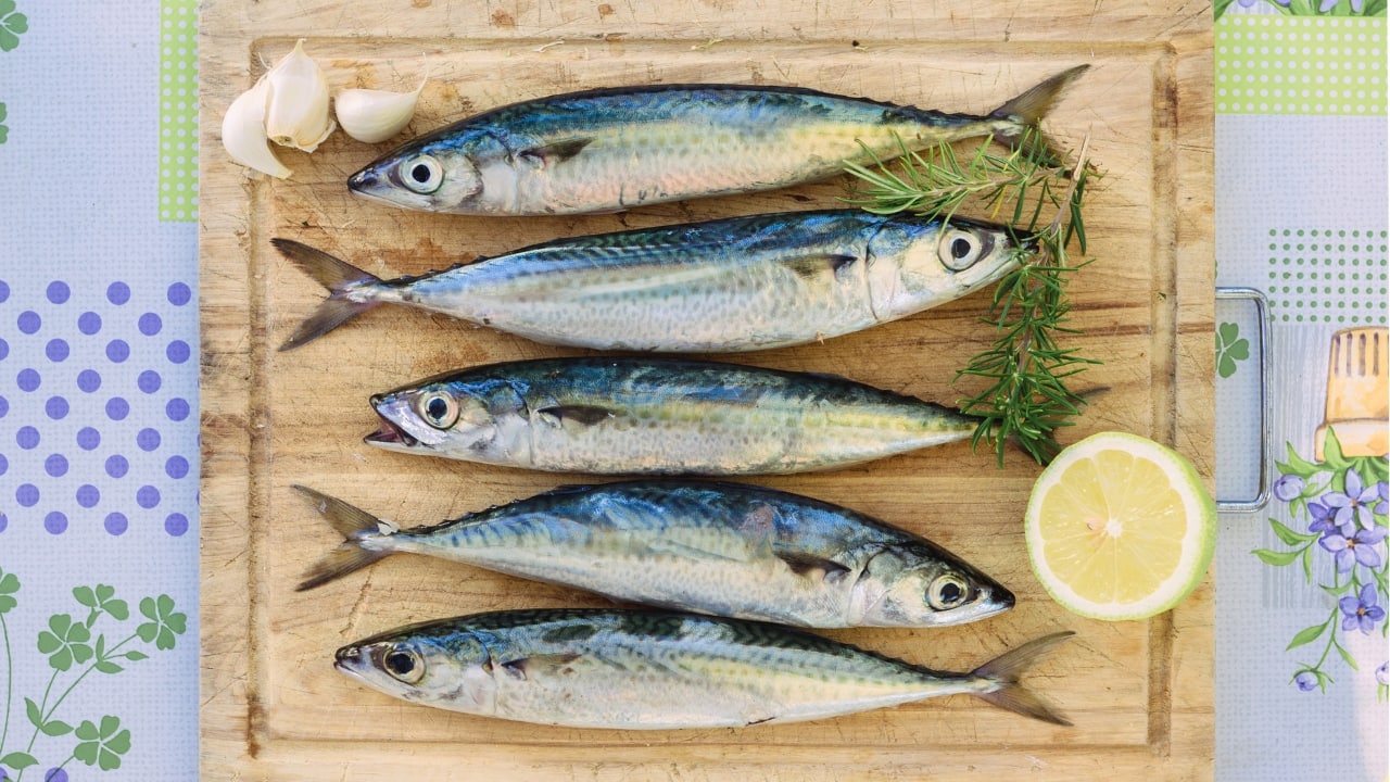 Mackerel: It  is a fatty fish loaded with omega-3s, which help reduce inflammation and lower the risk of heart disease. It's also a great source of protein and essential vitamins. Add mackerel into your diet by grilling, baking, or adding it to salads (Image: Canva)