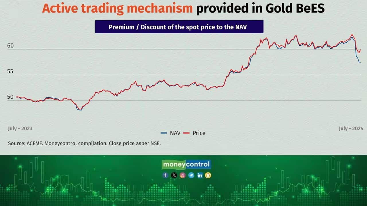 MC Review Gold BeES Gets Budget Boost Should You Invest mc-review-gold-bees-gets-budget-boost-should-you-invest