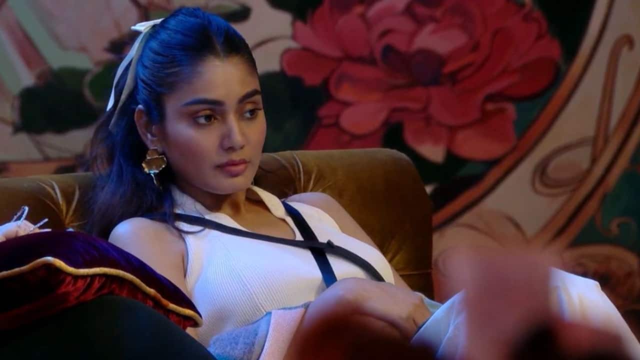 Sana Makbul accepts that she spoke about Ranvir Shorey's divorce and son, says, "Main muh kholne par aagayi na, ye pura naked ho jayega"