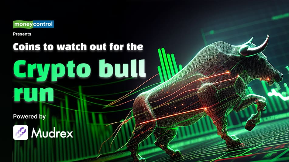 Coins to Watch Out for the Crypto Bull Run