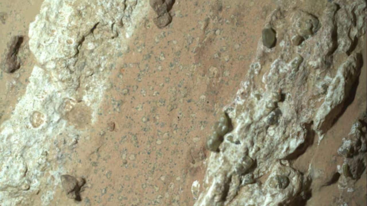 NASA's Perseverance rover has discovered microbial life on Mars NASA's Perseverance rover has discovered microbial life on Mars