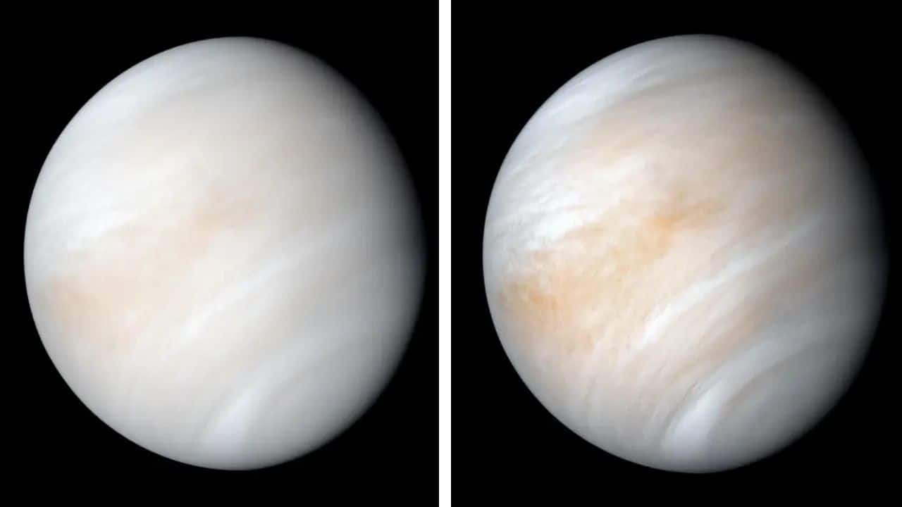 Scientists Discover New Possible Signs of Life in Venus' Clouds; Check Details Here