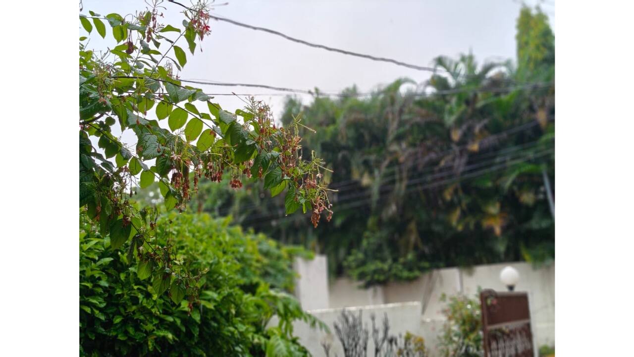 WhatsApp Image 2024-08-02 at 11.03.04