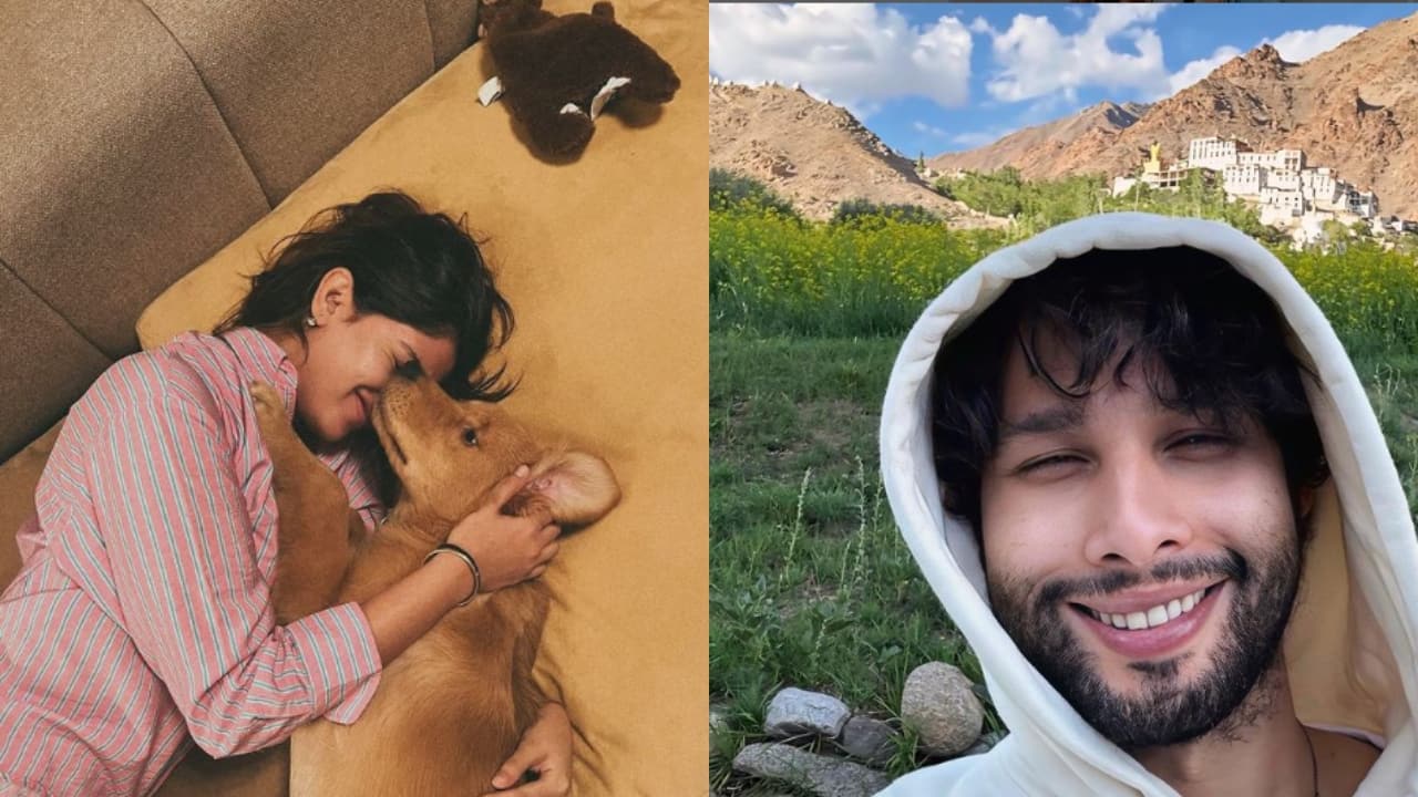 Have Siddhant Chaturvedi and Navya Nanda parted ways? Deets here