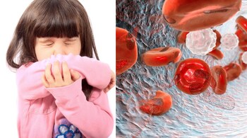 Common causes of anaemia include poor diet, chronic illnesses, or inherited disorders. (Image: Canva)