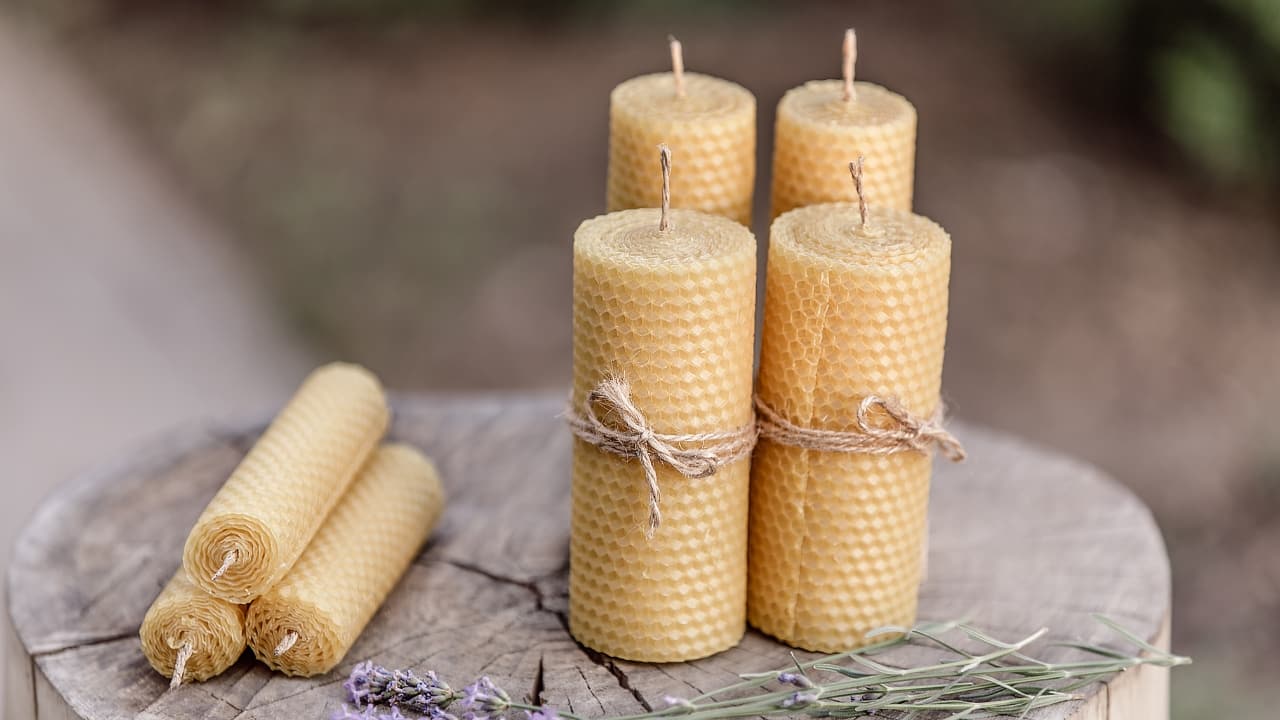 Decorative candles: Decorative candles come in various shapes, sizes, and designs, making them a stylish addition to any home decor. They can be used as centrepieces, accents, or to complement other decorative elements in your home. From intricately carved pillars to artistically shaped tapers, decorative candles add a unique touch to any space. They are perfect for holidays, special occasions, or simply to enhance the aesthetic of your home (Image: Canva)