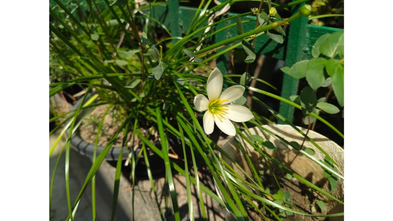 WhatsApp Image 2024-08-05 at 20.09.26