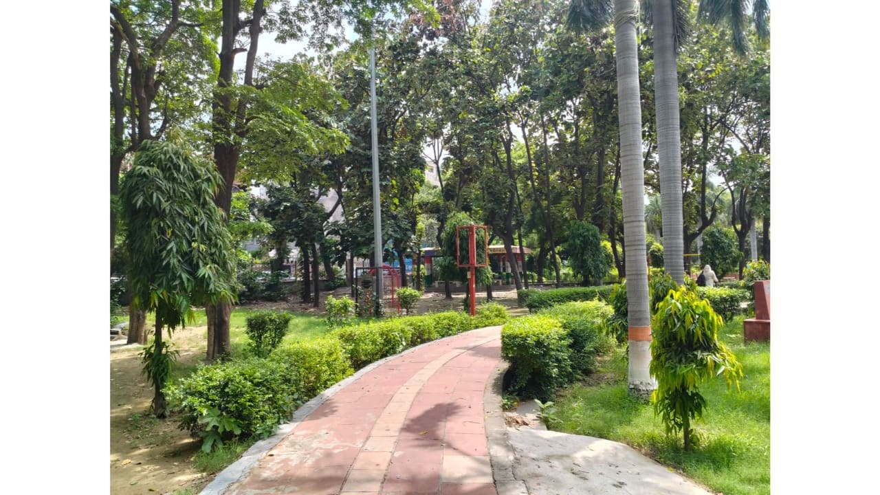 WhatsApp Image 2024-08-05 at 20.09.28 (1)