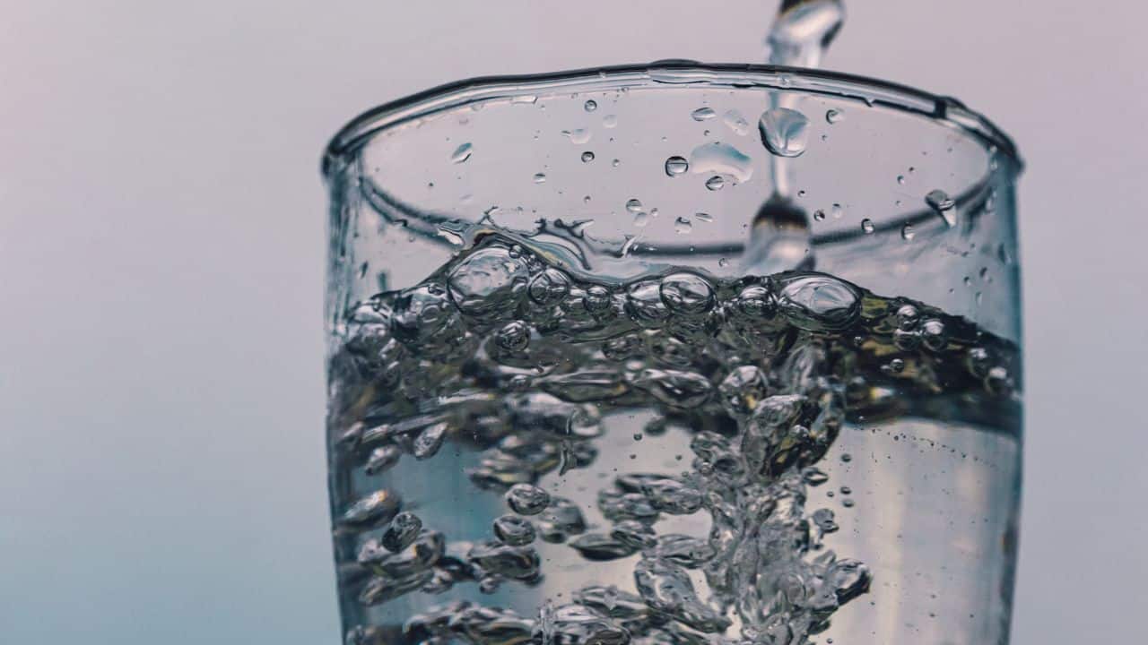 •Hydration: Drinking plenty of water helps maintain bodily functions, aids detoxification, and supports overall health; avoid excessive sugary or caffeinated drinks. (Image: Canva)