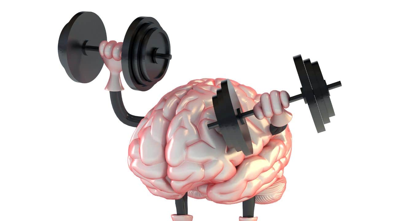 As people age, maintaining brain health becomes increasingly important. The ageing brain can experience cognitive decline, affecting memory, processing speed, and overall mental function. To support cognitive health, a balanced diet rich in omega-3 fatty acids, antioxidants, and essential nutrients is crucial. Foods like fatty fish, berries, leafy greens, and whole grains can help protect brain cells from oxidative stress and inflammation. Additionally, staying hydrated and including healthy fats and lean proteins in the diet supports brain function and cognitive clarity. Engaging in mental and physical activities, along with a healthy diet, can help preserve brain health and function as we age. Here are eight midlife dietary tips that can help keep your brain sharp, according to Delhi-based nutritionist Niharica Sharma: (Image: Canva)