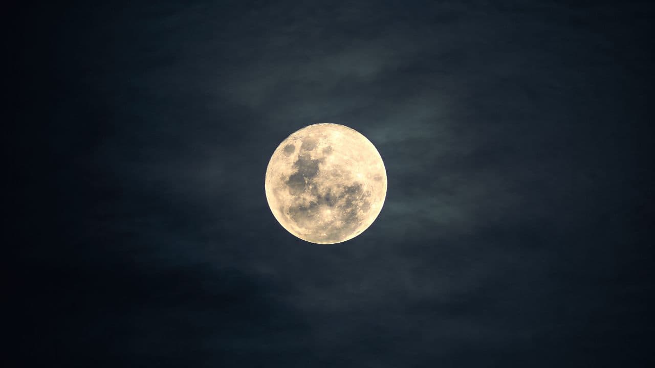 Scientists' new Moon mission: Earth's natural satellite could become a 'life bank' for endangered species.