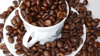 Titan Company Q2 PAT seen up 58.4% YoY to Rs 1,116.4 cr: Prabhudas Lilladher