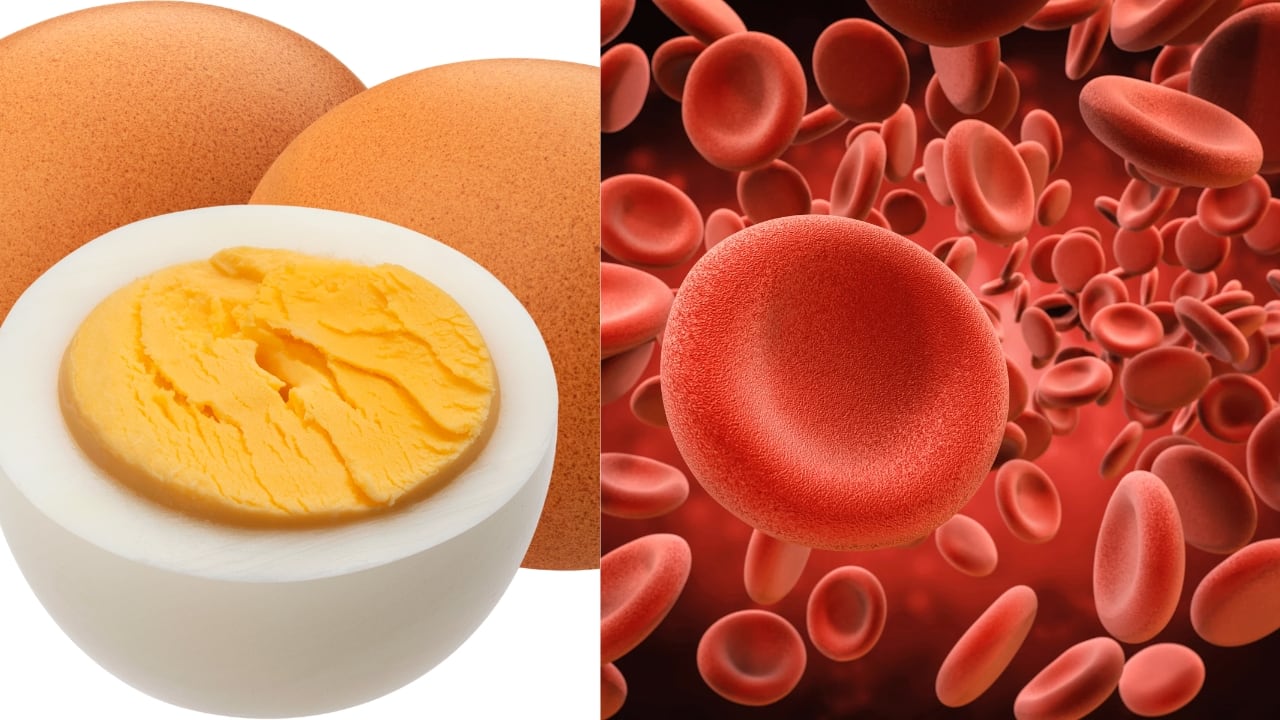 2.Rich in nutrients: Besides protein, eggs are packed with vitamins and minerals. Vitamin B12 is essential for nerve function and red blood cell formation. Vitamin D supports bone health by enhancing calcium absorption. Selenium is an antioxidant that protects cells from damage. Choline is vital for cell membrane integrity and brain health. (Image: Canva)