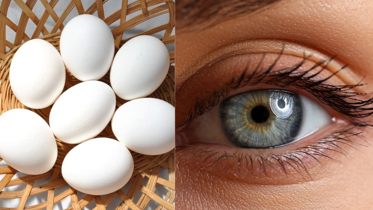 3.Supports eye health: Lutein and zeaxanthin are carotenoids found in eggs that help filter harmful high-energy light waves. These antioxidants protect the retina from damage and reduce the risk of developing age-related macular degeneration (AMD) and cataracts. (Image: Canva)