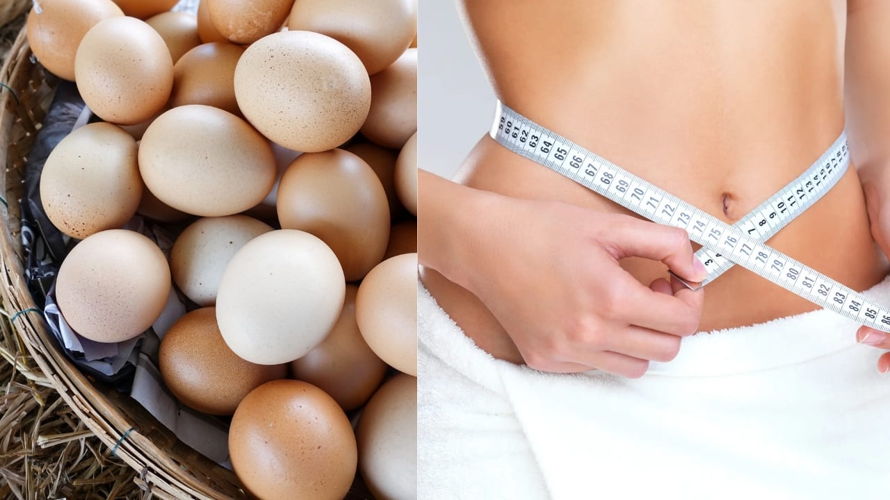6.Aids in weight management: The protein in eggs promotes satiety, helping you feel full longer. This can lead to reduced calorie intake throughout the day. Studies suggest that including eggs in meals may help with weight loss and improve weight management. (Image: Canva)