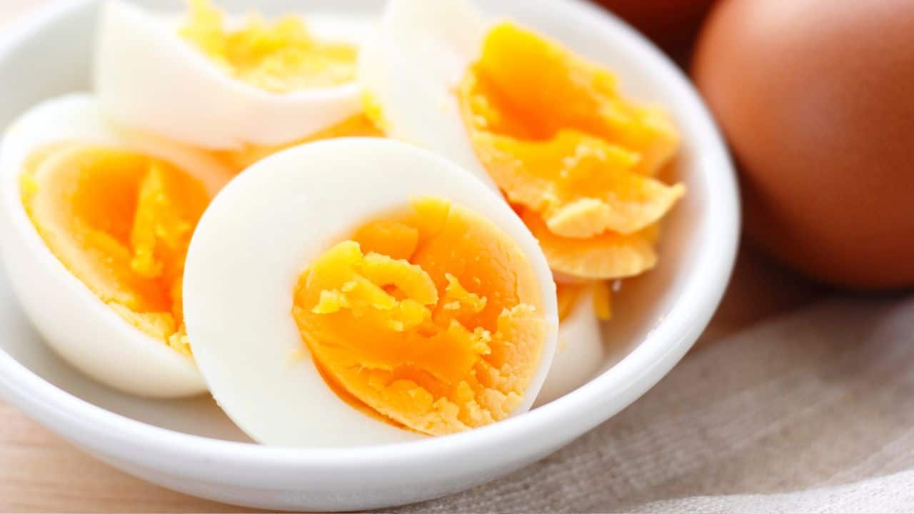 10 health benefits of eggs: Improve brain power, build muscles, boost ...