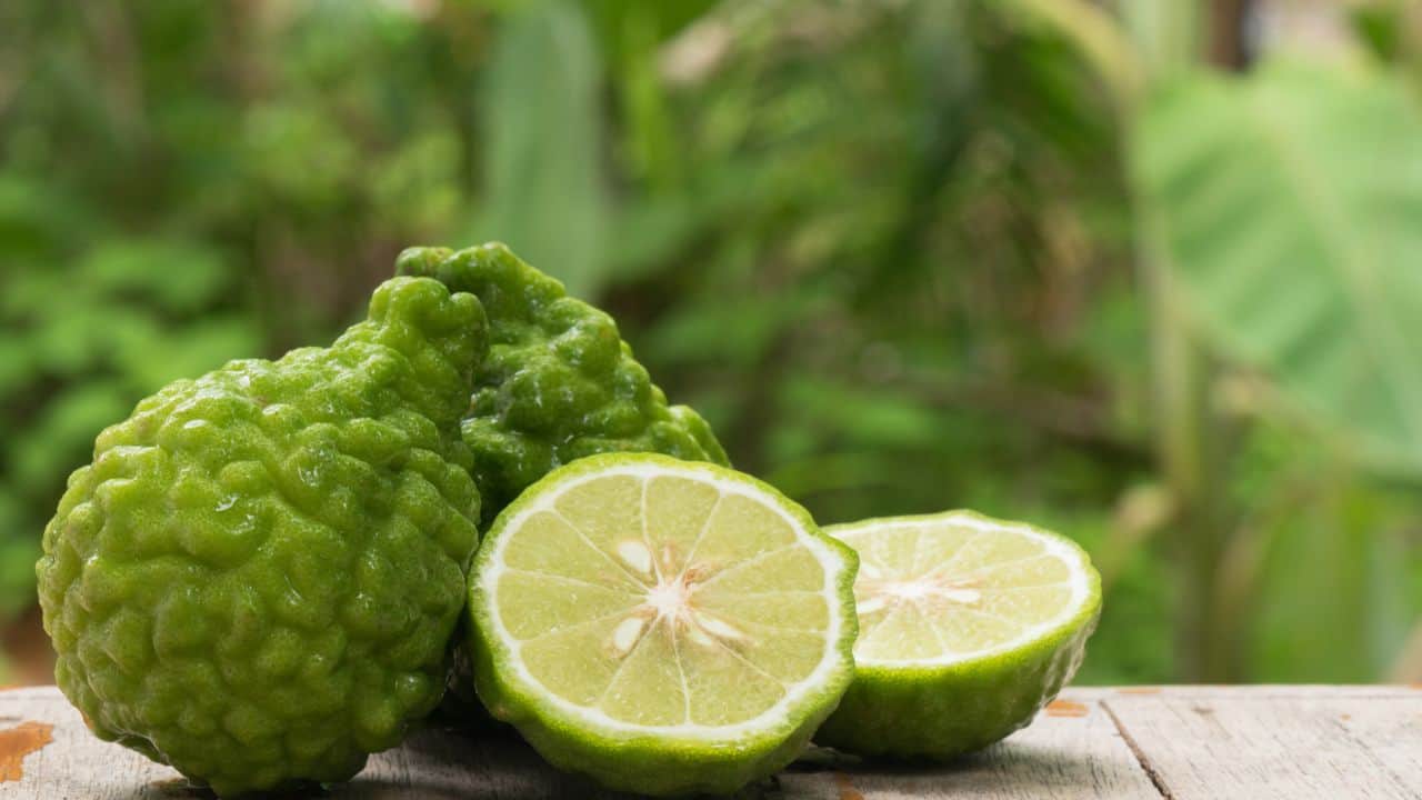 Health benefits of bergamot: Avoid heart disease, boost immune system, enhance mood with this fruit