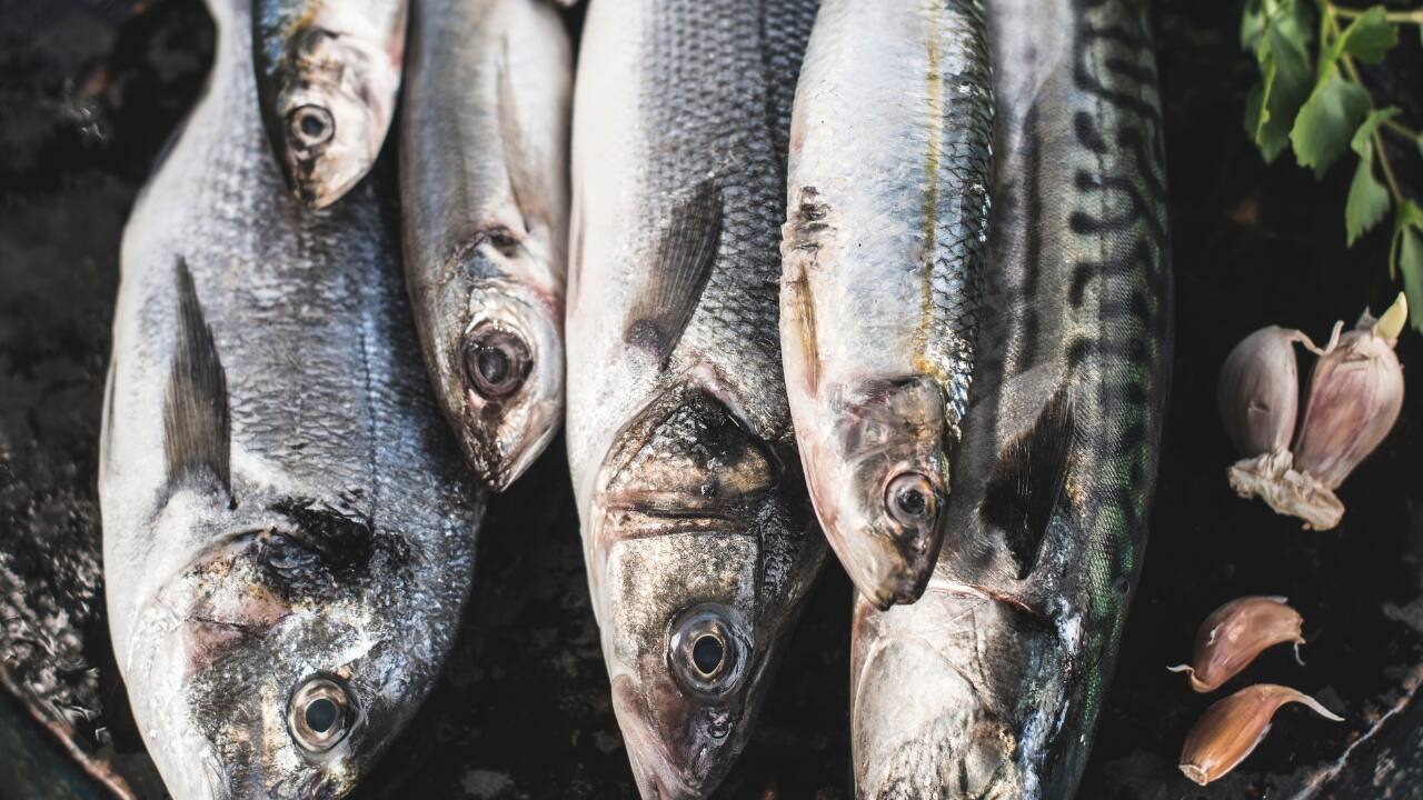 Reduced inflammation: Processed foods often contain high levels of unhealthy fats, such as trans fats and saturated fats, which can promote inflammation in the body. Chronic inflammation is linked to mental health conditions such as depression and anxiety. By avoiding processed foods and opting for anti-inflammatory foods like leafy greens, nuts, and fatty fish, you can reduce inflammation and lower your risk of developing mood disorders. (Image: Canva)