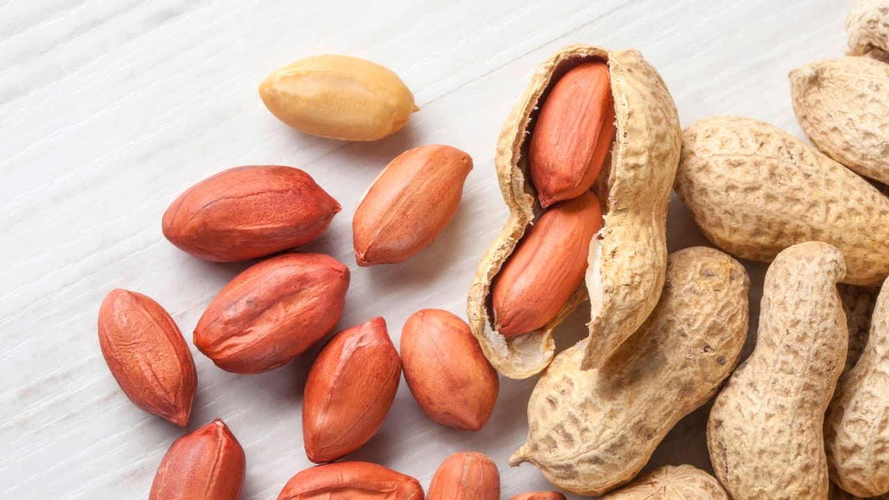 Peanuts, often mistaken for nuts, are actually legumes that pack a powerful nutritional punch. Widely consumed across the globe, peanuts are not only a popular snack but also a versatile ingredient in various culinary dishes. Rich in protein, healthy fats, vitamins, and minerals, they offer numerous health benefits, including improved heart health, weight management, and blood sugar control. Whether enjoyed roasted, as peanut butter, or in savoury dishes, peanuts provide a satisfying and nutritious option. Their affordability and wide availability make them a staple in many diets, contributing to their global popularity. Here are some of the secret health benefits of peanuts, according to Agra-based neurohealth nutritionist Dr Rahul Saxena. (Image: Canva)