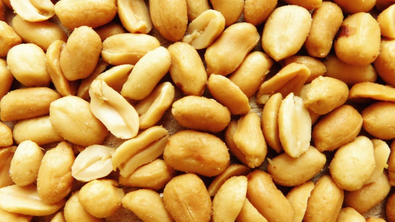 Rich in Nutrients: • Protein: Peanuts are a good source of plant-based protein, essential for muscle growth and repair. • Healthy Fats: They contain monounsaturated and polyunsaturated fats, which are heart-healthy and can help reduce bad cholesterol levels. • Vitamins and Minerals: Peanuts are rich in vitamins such as E and B complex and minerals like magnesium, phosphorus, and potassium, which support various bodily functions. (Image: Canva)