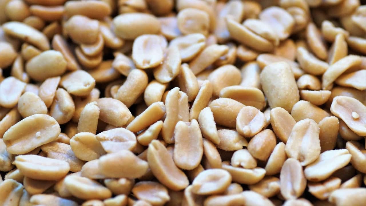 Brain Health: • Niacin: Peanuts are rich in niacin (Vitamin B3), known to protect against Alzheimer’s disease and age-related cognitive decline. • Folate: They are also a good source of folate, which supports brain function and mental well-being. (Image: Canva)