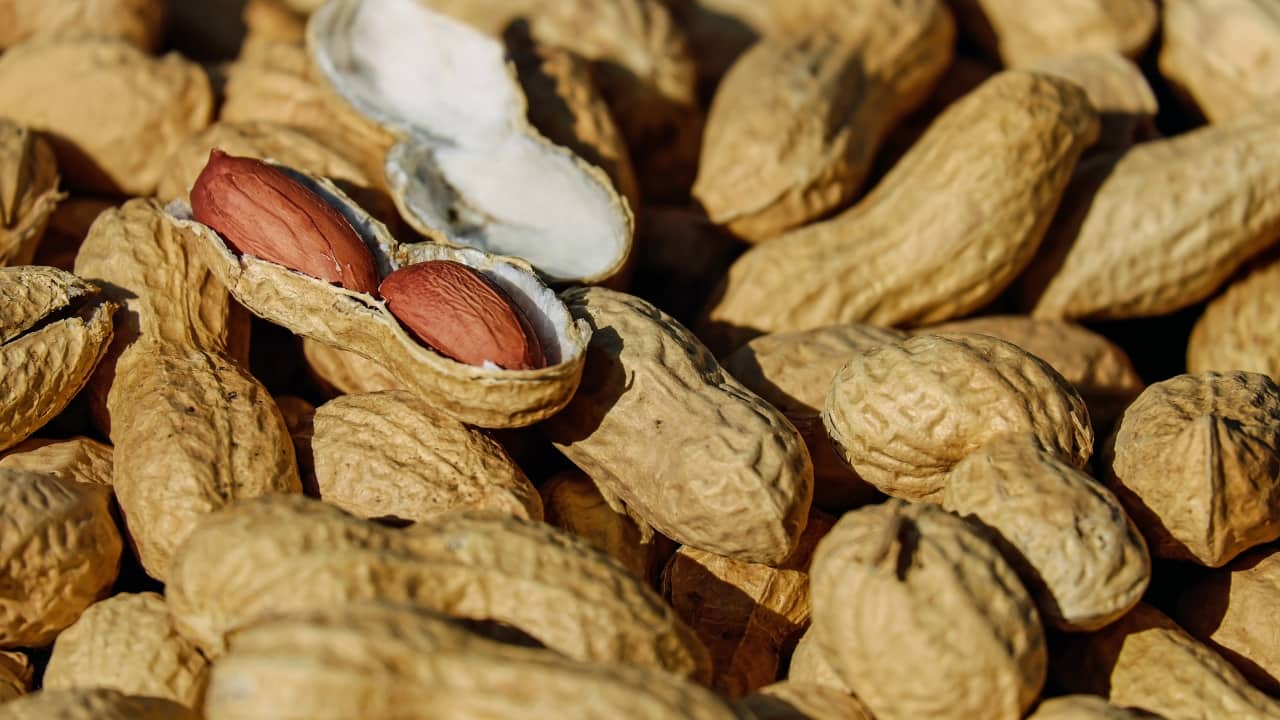 Skin Health: • Vitamin E: This vitamin in peanuts acts as an antioxidant, protecting the skin from damage caused by free radicals and maintaining skin health. (Image: Canva)
