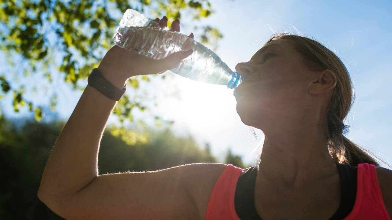 Stay hydrated and get enough fibre: A plant-based diet is typically high in fibre, which is excellent for digestion but can lead to bloating if you are not adequately hydrated. Drink plenty of water throughout the day, and gradually increase your fibre intake to allow your digestive system to adjust. (Image: Canva)