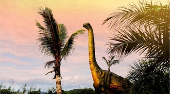 During a casual summer walk on the South Wales coast with her mother in Penarth, Tegan stumbled upon five massive footprints, believed to be over 200 million years old. (Representative Image: Canva)