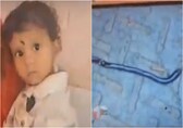 One-year-old child bites snake to death in Bihar after mistaking it for toy, escapes unharmed