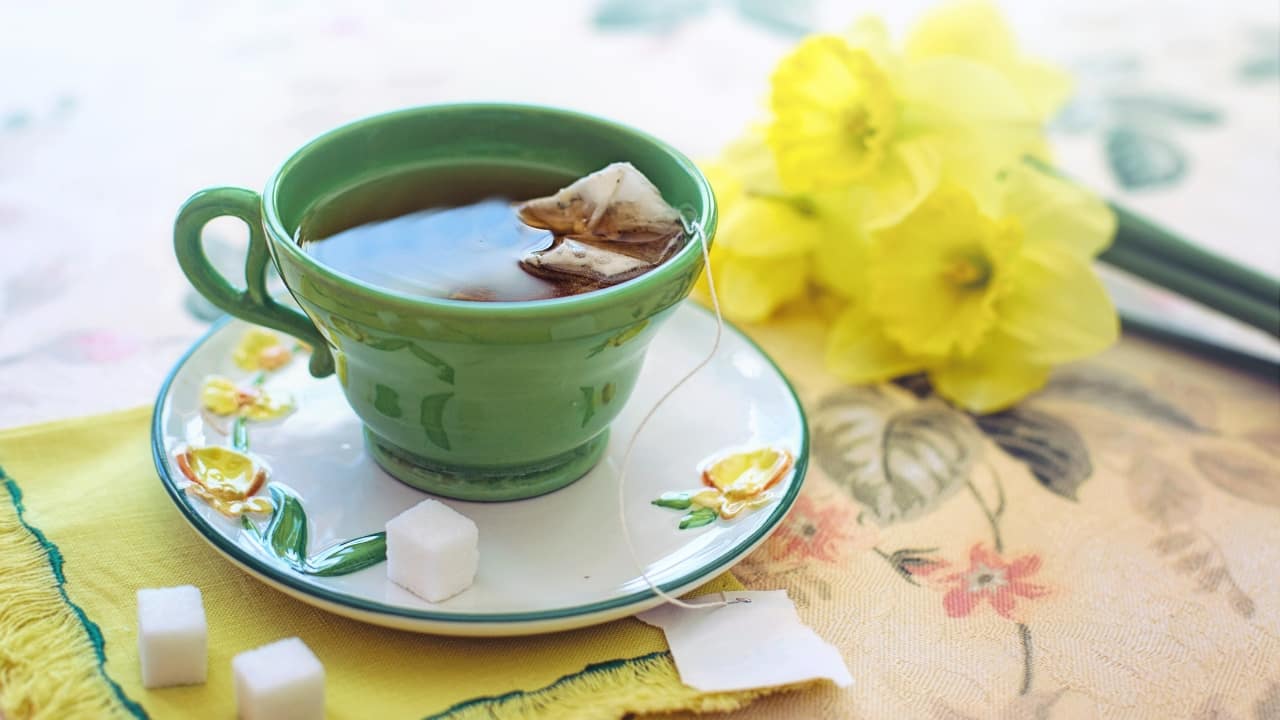 Green tea: Green tea contains antioxidants called catechins, especially epigallocatechin gallate (EGCG), which may enhance fat burning. It boosts metabolism and improves fat oxidation, helping with weight management. The mild caffeine content also enhances exercise performance, making green tea a valuable addition to a weight-loss regimen. (Image: Canva)