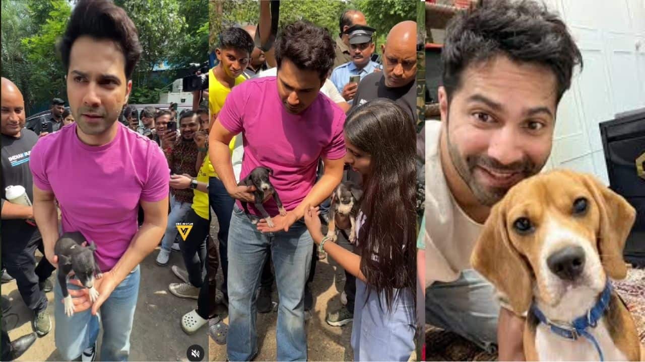 Varun Dhawan wins hearts by picking up a stray puppy and taking it into his vanity van, Watch video