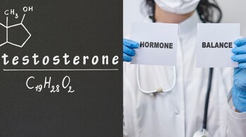 Addressing testosterone levels is vital for men's overall health and well-being. (Image: Canva)