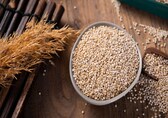 Health benefits of quinoa: Gluten-free and easy to digest, here's why it deserves a spot on your plate