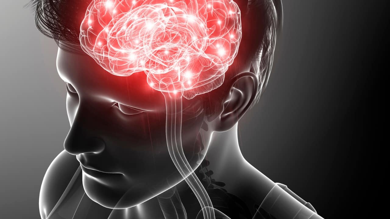 Diet tips for brain health: Eat blueberries, eggs and others to improve concentration, boost memory