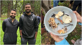 Zerodha co-founder Nikhil Kamath and entrepreneur Aymen Aslam participate in the mushroom walk organised at Cubbon Park in Bengaluru. (Image credit: @aymensays/X)